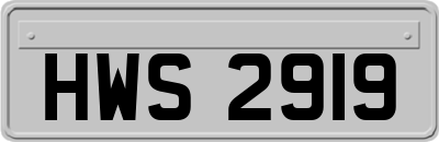 HWS2919