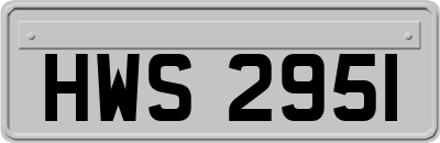 HWS2951