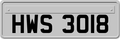 HWS3018
