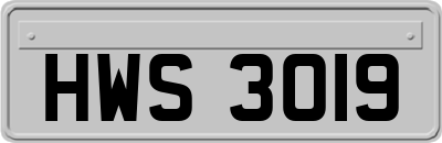 HWS3019