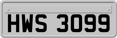 HWS3099