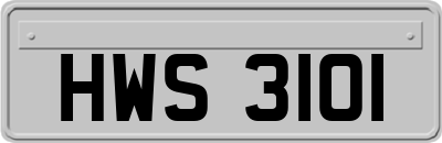 HWS3101