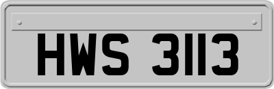 HWS3113