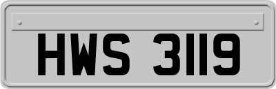 HWS3119