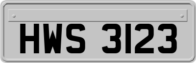 HWS3123