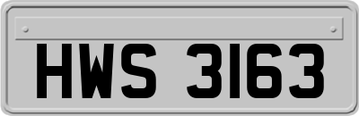 HWS3163