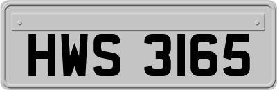 HWS3165