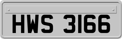 HWS3166