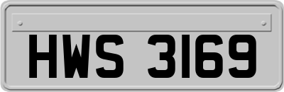 HWS3169
