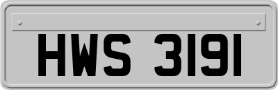 HWS3191