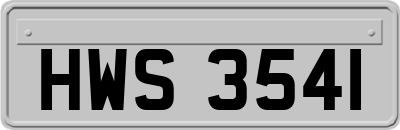 HWS3541