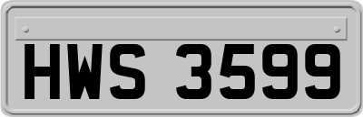 HWS3599