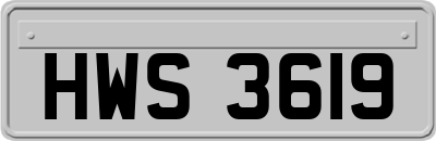 HWS3619