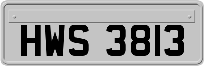 HWS3813