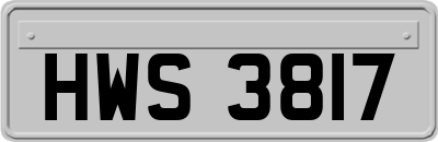 HWS3817
