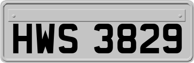 HWS3829