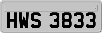 HWS3833