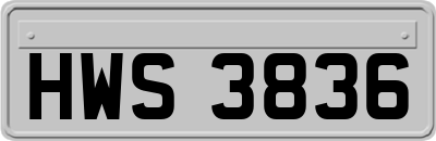 HWS3836