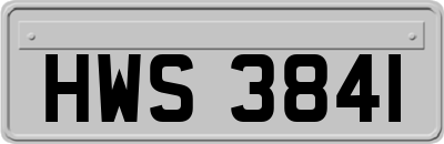 HWS3841