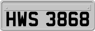 HWS3868
