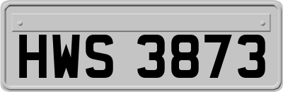 HWS3873