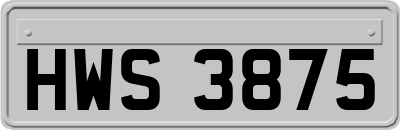 HWS3875
