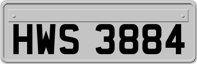 HWS3884