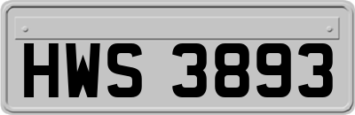 HWS3893