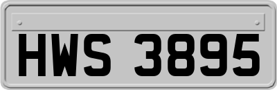 HWS3895
