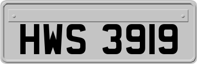 HWS3919