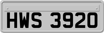 HWS3920