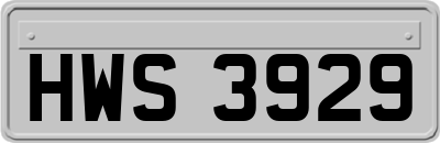 HWS3929