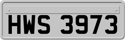 HWS3973