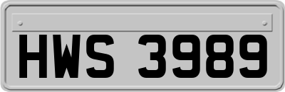 HWS3989