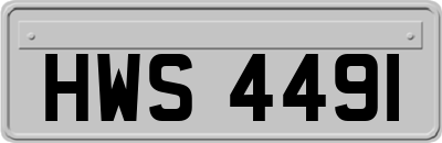 HWS4491