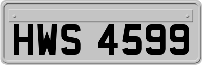 HWS4599