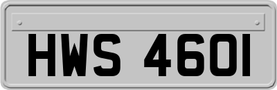 HWS4601