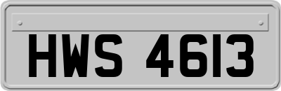HWS4613