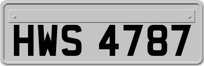 HWS4787