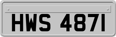 HWS4871