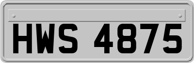 HWS4875