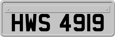 HWS4919