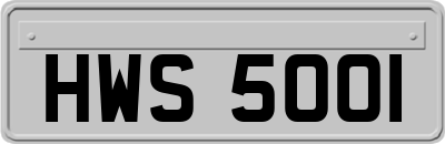 HWS5001