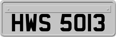 HWS5013