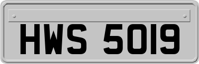 HWS5019