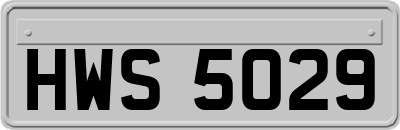 HWS5029