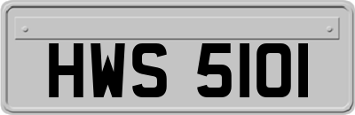 HWS5101