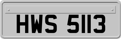 HWS5113