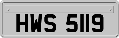 HWS5119