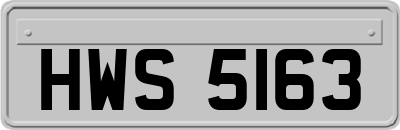 HWS5163